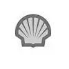 Logo del cliente di Galleon Systems Shell